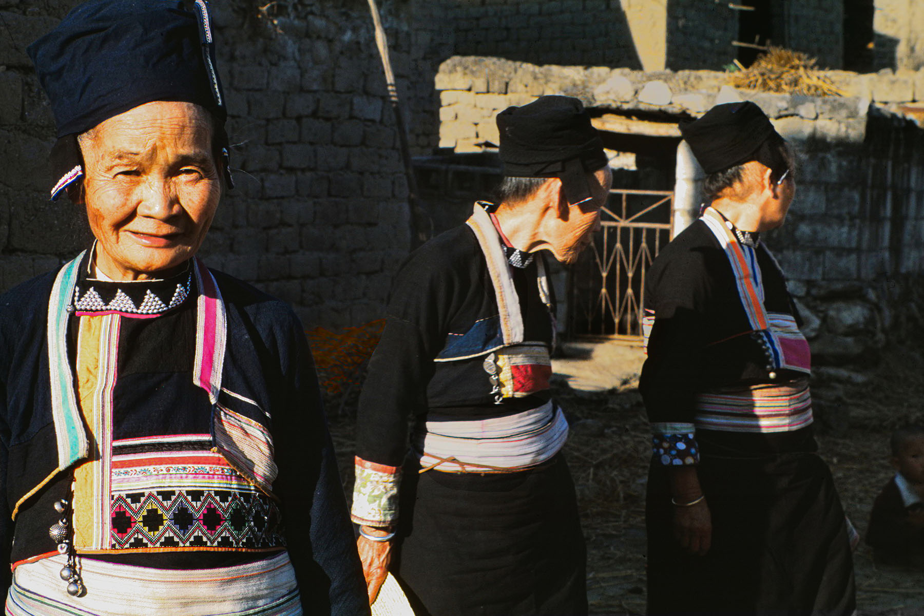 Xunmu Wu, Three Dong Women