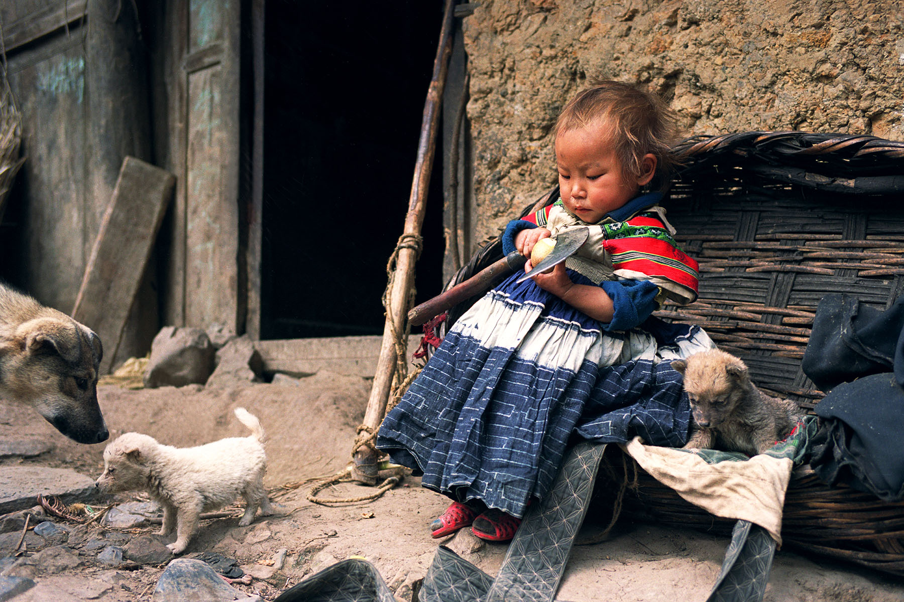 Xunmu Wu, The Girl Peeling a Pear