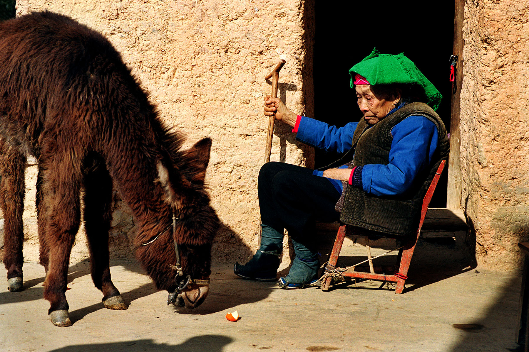 Xunmu Wu, The Elder and the Donkey